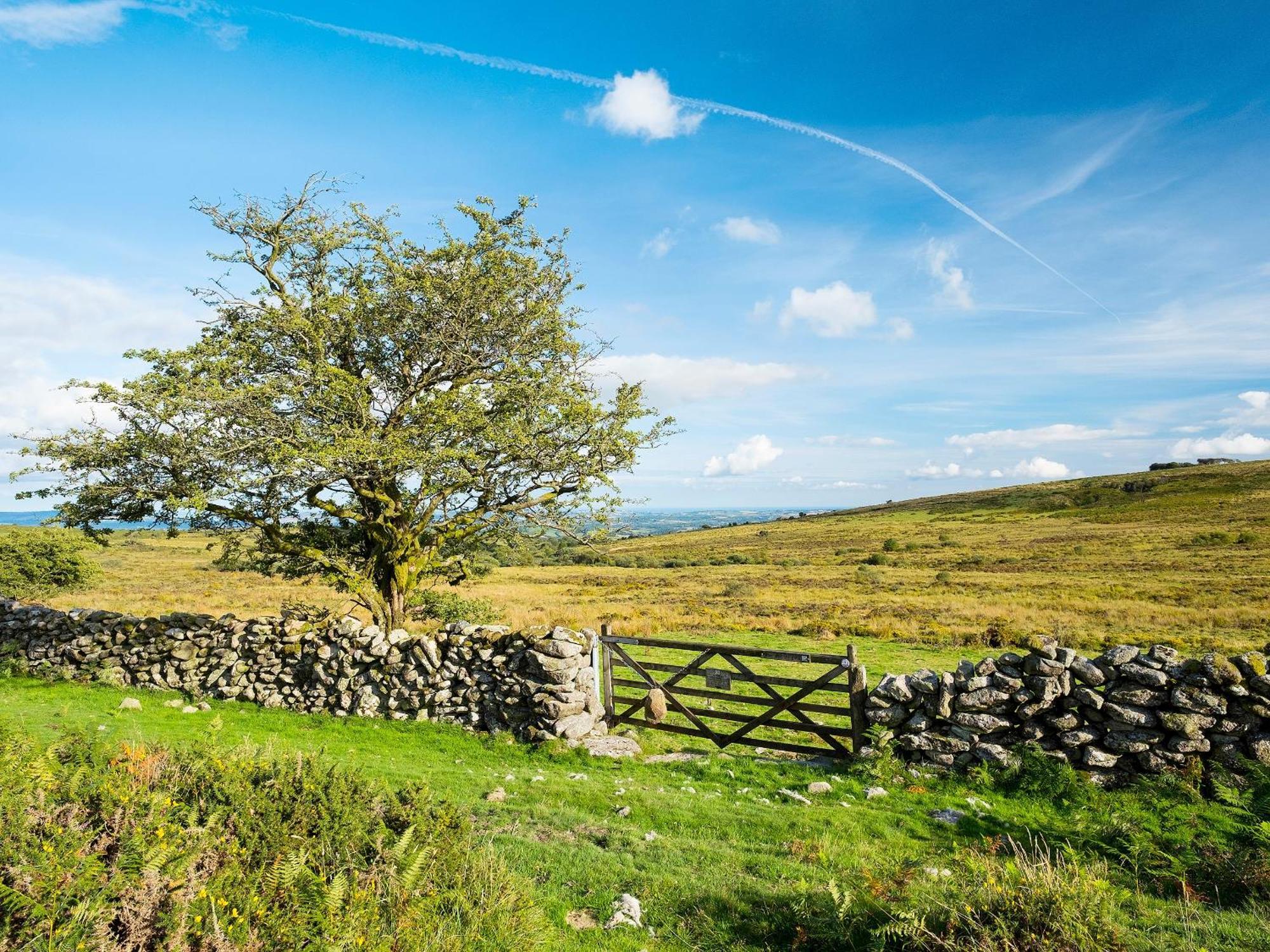 Valley Lodge 2 Callington Buitenkant foto